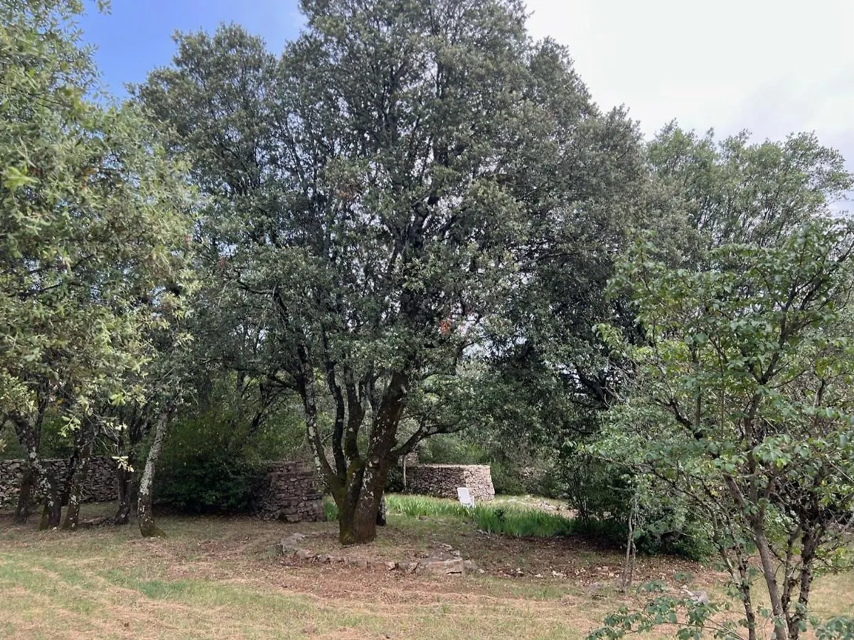 Luxurious Family House With Pool In Ardeche. Villa Les Vans